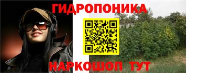 прущие грибы Мариинск